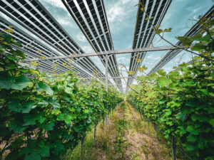 Erneuerbare Energien